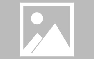 河南网页设计英文默认字体（网页设置英文转换中文）